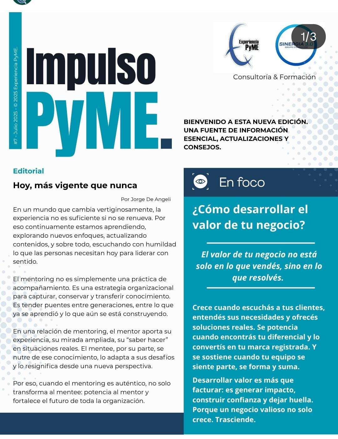 Sinergia 3.0 capacitación política